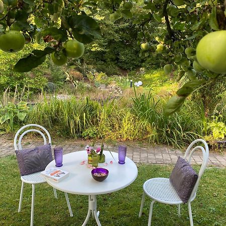 Ferienwohnung In Historischer Villa Mit Gartennutzung Furth im Wald Exteriér fotografie